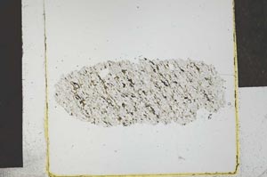 Plane Polarized, S28782