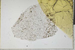 Plane Polarized, S28795