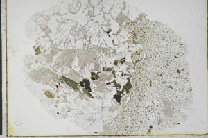 Plane Polarized, S28808
