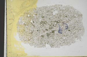 Plane Polarized, S28811