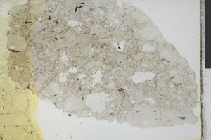 Plane Polarized, S28820