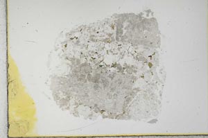 Plane Polarized, S28822