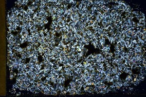 Cross Polarized, S28830