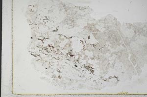 Plane Polarized, S28839