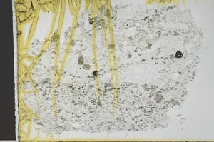 Plane Polarized, S28865