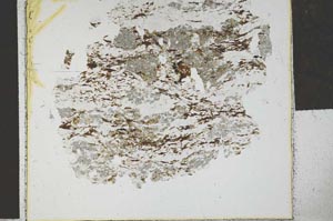 Plane Polarized, S28868