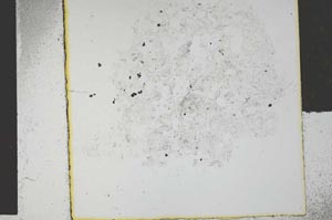 Plane Polarized, S28873