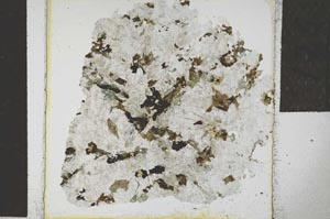 Plane Polarized, S28881