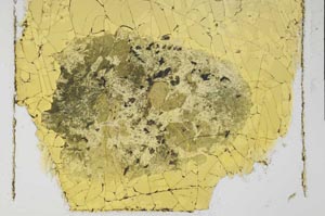 Plane Polarized, S28921
