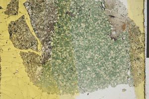 Plane Polarized, S28926