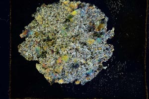 Cross Polarized, S28927