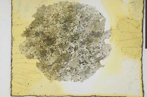 Plane Polarized, S28927