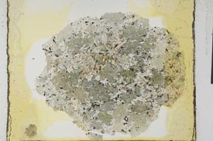 Plane Polarized, S28928