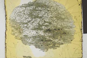Plane Polarized, S28938