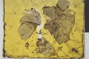 Plane Polarized, S28949