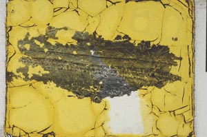 Plane Polarized, S28951
