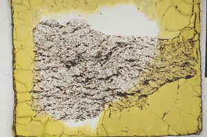 Plane Polarized, S28957
