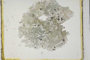 Plane Polarized, S28960