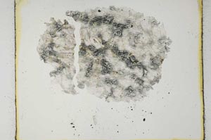 Plane Polarized, S28963