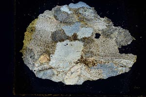 Cross Polarized, S28969