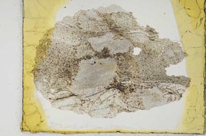 Plane Polarized, S28969