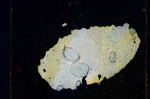 Cross Polarized, S28973