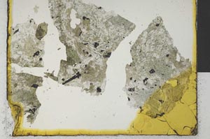Plane Polarized, S28975