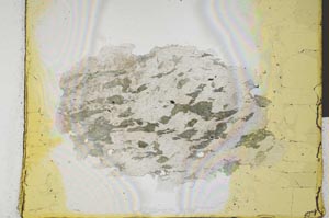 Plane Polarized, S28981