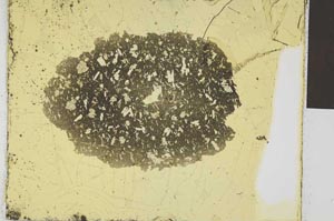 Plane Polarized, S28993