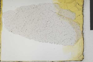 Plane Polarized, S29014