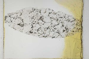 Plane Polarized, S29018
