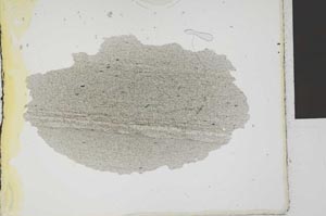 Plane Polarized, S29021