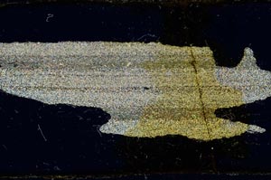 Cross Polarized, S29023
