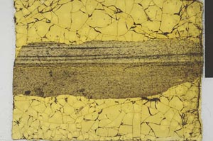 Plane Polarized, S29028
