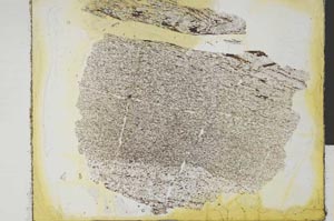 Plane Polarized, S29029