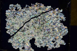 Cross Polarized, S29049