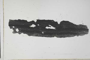 Plane Polarized, S29078