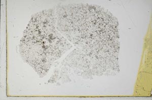 Plane Polarized, S29088
