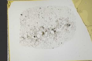 Plane Polarized, S29154