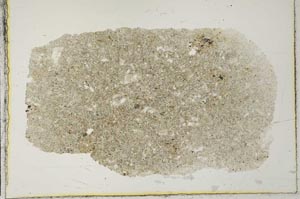 Plane Polarized, S29164