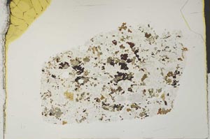 Plane Polarized, S29177