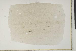 Plane Polarized, S29179