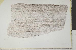 Plane Polarized, S29195