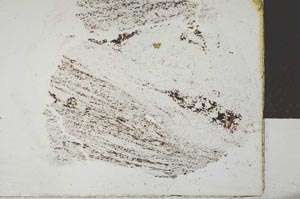Plane Polarized, S29197