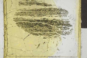 Plane Polarized, S29198