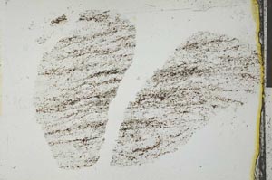 Plane Polarized, S29202/A