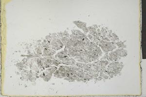 Plane Polarized, S29203