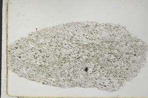 Plane Polarized, S29204