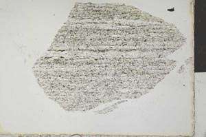 Plane Polarized, S29207