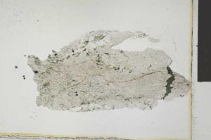 Plane Polarized, S29208